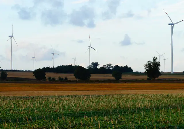 Pole uprawne z kilkoma turbinami wiatrowymi na horyzoncie w województwie zachodniopomorskim