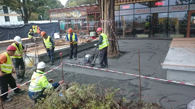 Grupa robotników wykonuje prace wykończeniowe wokół drzewa na placu przed sklepami przy molo w Kołobrzegu