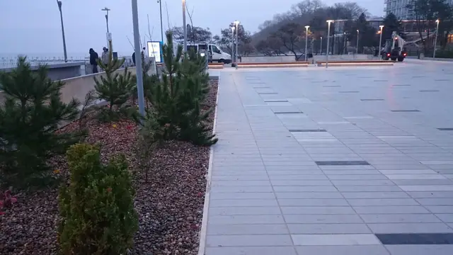 Skraj ukończonego placu przy molo w Kołobrzegu obsadzony młodymi sosnami w rabacie z grysu o zmierzchu