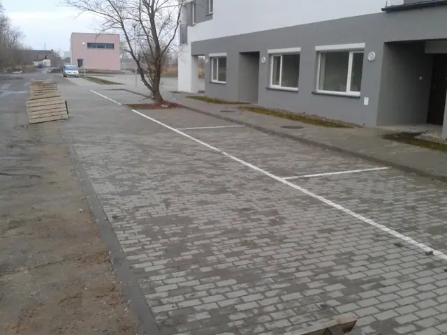 Chodnik i miejsce parkingowe z kostki przy gotowym budynku, obok posadzone młode drzewo