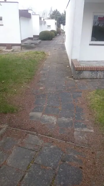 Stary chodnik z płyt betonowych obłożony korą ściółkową na terenie ośrodka wypoczynkowego w Sianożętach
