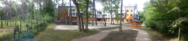 Wybrukowana alejka prowadząca przez sosnowy zagajnik w stronę placu zabaw