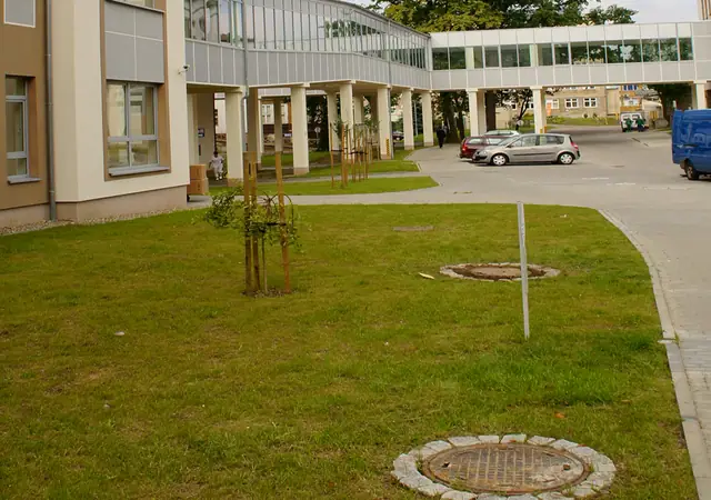 Trawnik z nowo posadzonymi drzewkami i studzienką kanalizacyjną na terenie Szpitala Wojewódzkiego w Koszalinie