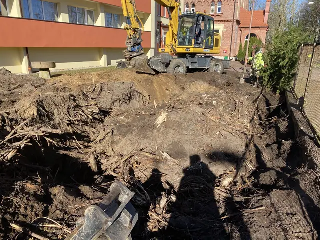Koparka Komatsu usuwa karpy i korzenie drzew na terenie inwestycji