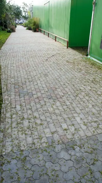 Zarośnięta trawą ażurowa kostka betonowa ułożona wzdłuż zielonej hali namiotowej